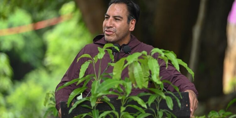 Gobierno de Chiapas busca reforestar 100 mil hectáreas antes de 2026.