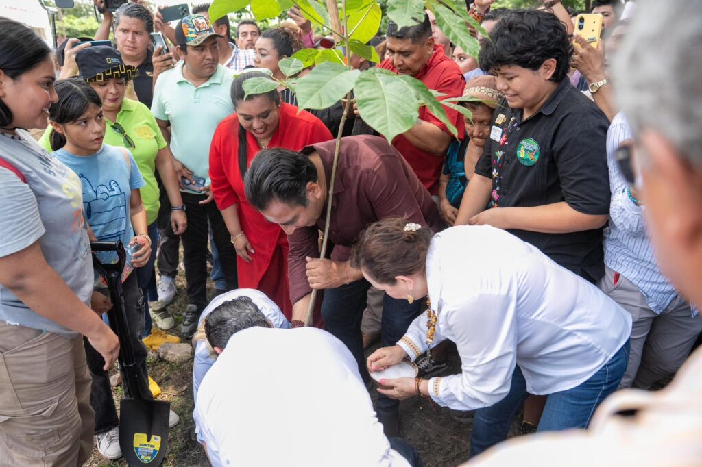 Plantan especies nativas para rescatar patrimonio ambiental y cultural