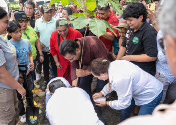 Plantan especies nativas para rescatar patrimonio ambiental y cultural