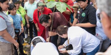 Plantan especies nativas para rescatar patrimonio ambiental y cultural