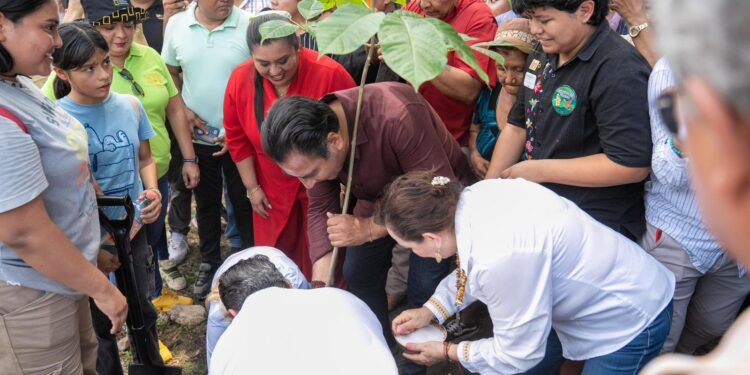 Plantan especies nativas para rescatar patrimonio ambiental y cultural