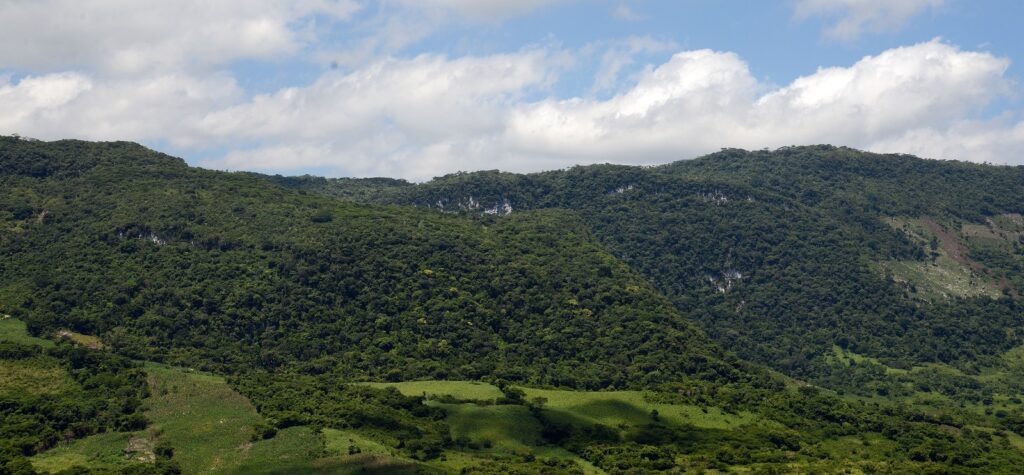 La zona forestal fue recategorizada por SEMARNAT como área estratégica.