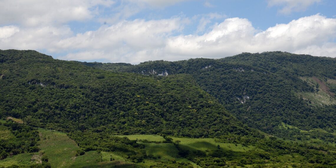 La zona forestal fue recategorizada por SEMARNAT como área estratégica.
