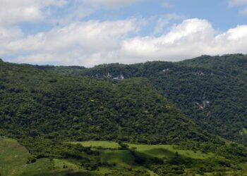 La zona forestal fue recategorizada por SEMARNAT como área estratégica.