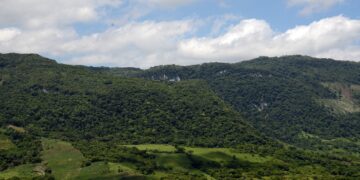 La zona forestal fue recategorizada por SEMARNAT como área estratégica.