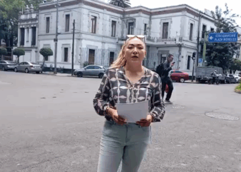 La periodista demandó reparación de daños y una disculpa pública, dado que al detenerla y acusarla de “pollera” la despojaron de su dignidad y enlodaron su carrera.