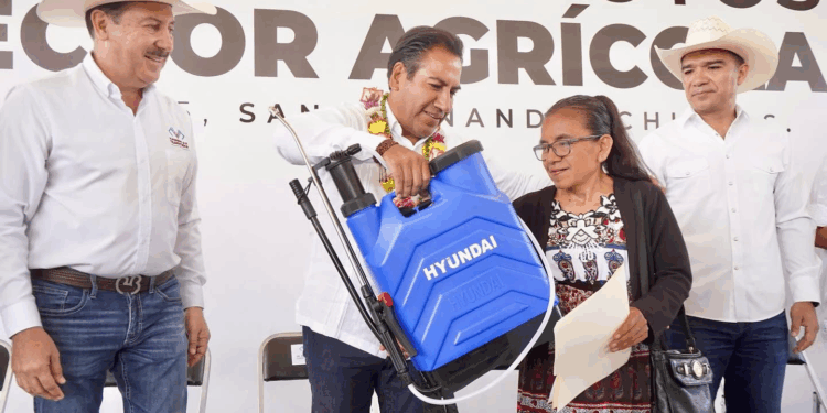 Las remesas bajaron 16.2 % en junio, la caída más fuerte desde 2012. Afecta a más de cinco millones de hogares, sobre todo en Chiapas, Oaxaca y Guerrero, donde sostienen el consumo básico. El impacto va directo a la mesa y al bienestar.