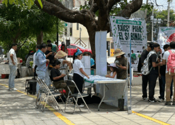 Ciudadanos reforestan y denuncian abandono del afluente.