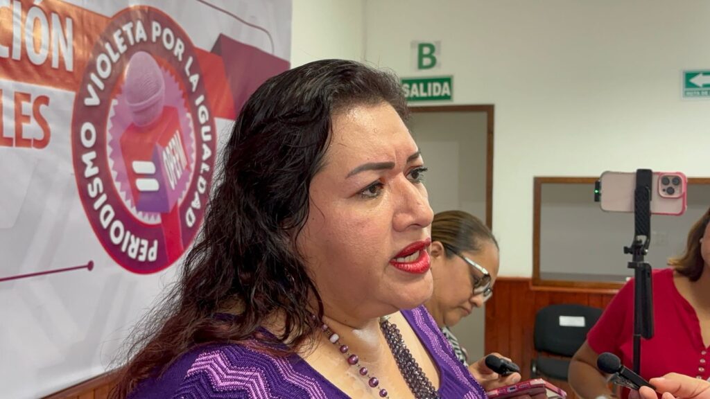 Consejera resaltó necesidad de informar con perspectiva de género.