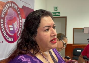 Consejera resaltó necesidad de informar con perspectiva de género.