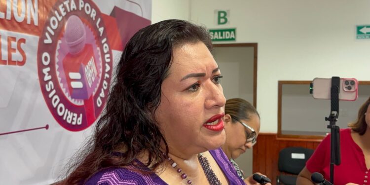 Consejera resaltó necesidad de informar con perspectiva de género.