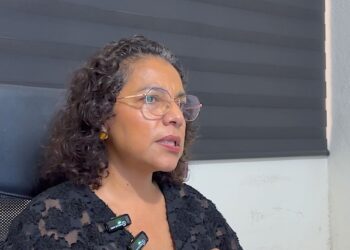 Se recomienda acudir al SAT o con especialistas colegiados para regularizar la situación fiscal y acceder a incentivos.