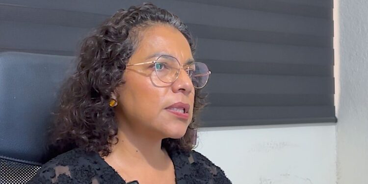 Se recomienda acudir al SAT o con especialistas colegiados para regularizar la situación fiscal y acceder a incentivos.