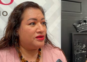 Entre los motivos para buscar el registro, destacan la libertad de asociación y el deseo de representar nuevas corrientes ideológicas.