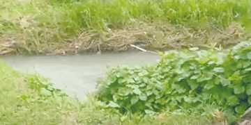 Vecinos exigieron reparación en Tapachula