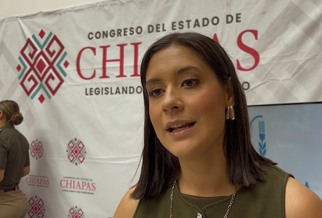 Buscan promover a Chiapas como destino turístico.