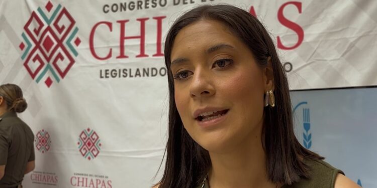 Buscan promover a Chiapas como destino turístico.