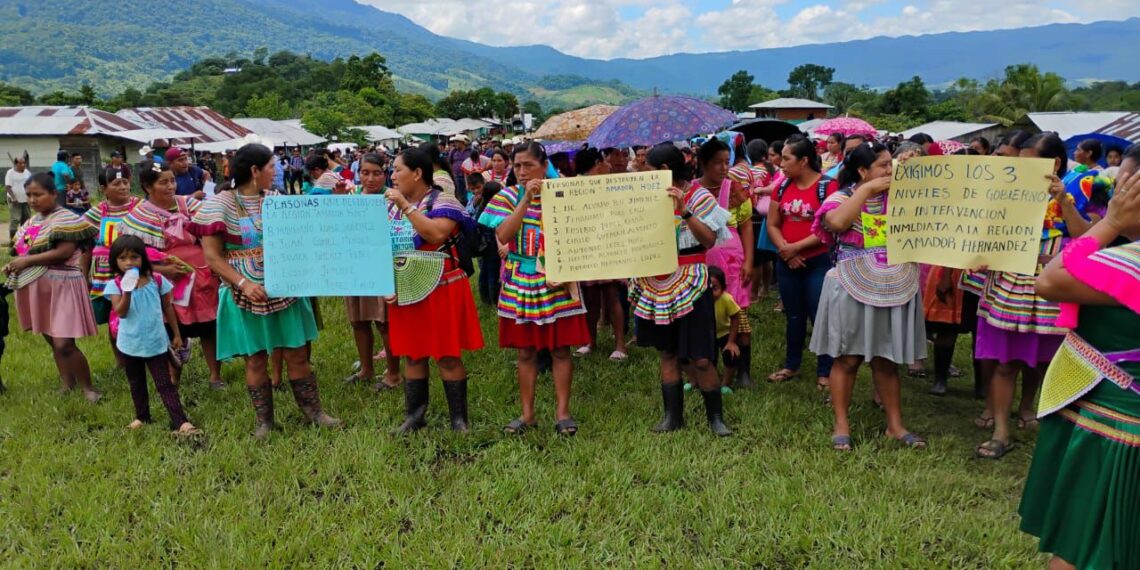 Denunciaron abandono oficial y falta de servicios en Amador Hernández.