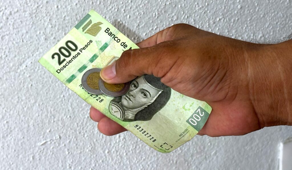De 2022 a 2024 los ingresos de profesionistas cayeron más del 24 %.