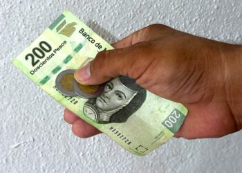 De 2022 a 2024 los ingresos de profesionistas cayeron más del 24 %.