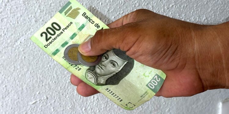 De 2022 a 2024 los ingresos de profesionistas cayeron más del 24 %.