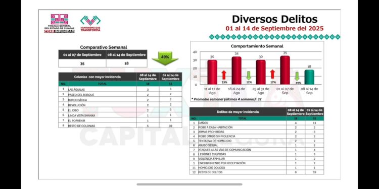 Fiscal informó caída de incidencia y pidió celebrar con responsabilidad.