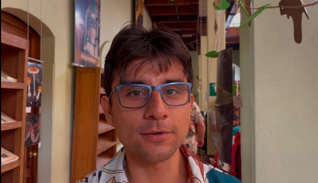 Biólogo advierte que el hongo zoque podría desaparecer por tala de nangaño.