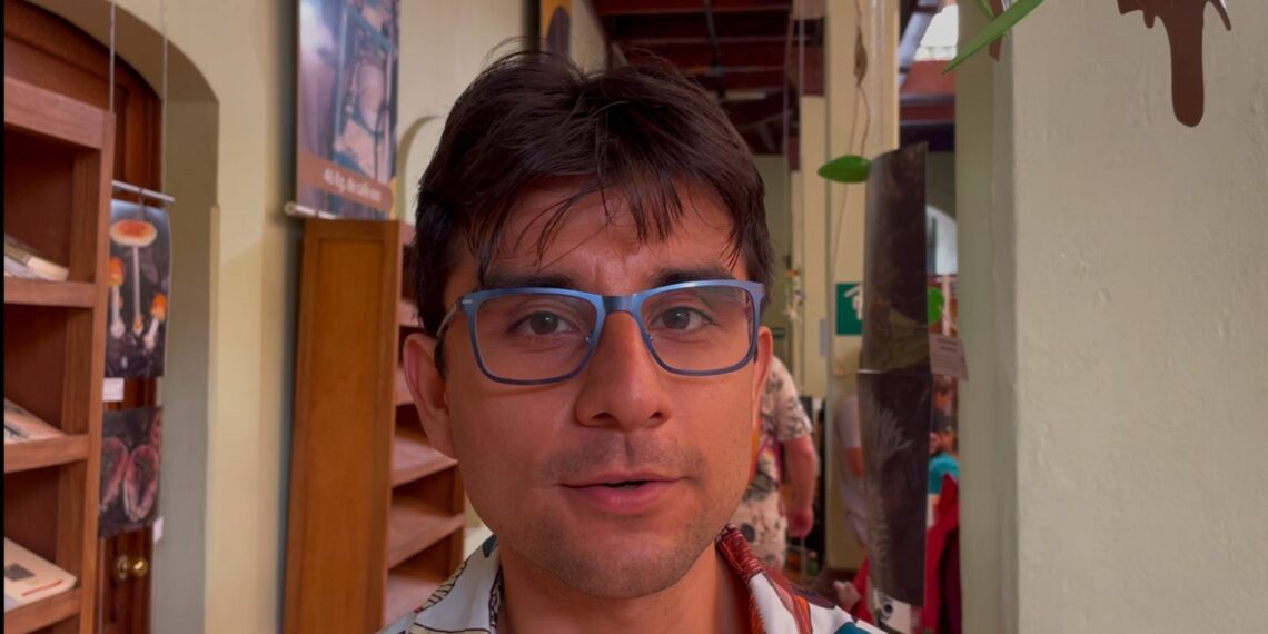 Biólogo advierte que el hongo zoque podría desaparecer por tala de nangaño.