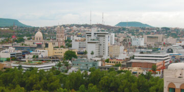 Expertos advierten que la planeación deficiente y la presión inmobiliaria han reducido estos espacios vitales. Lejos de un lujo estético, son esenciales para la salud pública, la resiliencia climática y la justicia urbana.