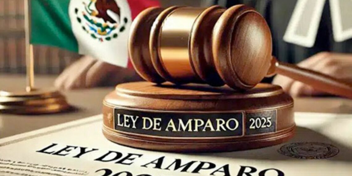 La reforma aprobada por el Senado redefine conceptos clave y altera mecanismos procesales que durante décadas han protegido a los gobernados. 