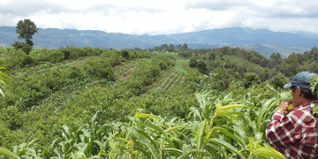 2025, las actividades secundarias, sin minería petrolera, mostraron un descenso a tasa anual de 1.0%; hubo incrementos en 14 entidades, pero Chiapas no presentó variación alguna.