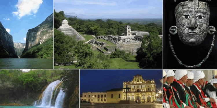 El sur de México constituye con Centroamérica una región singular por su mega biodiversidad y riqueza cultural que posee un enorme potencial de desarrollo, que históricamente ha enfrentado la paradoja de ser un territorio pródigo en recursos, pero golpeado por profundas carencias.