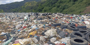 Profepa cierra basurero en Ocosingo