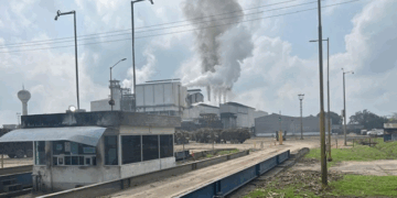 El más importante reto, en este momento, es lograr un eficiente rendimiento para conservar la actividad y evitar que se pierdan alrededor de un millón 500 mil toneladas de caña de la zafra 2025-2026, que arranca en el mes de diciembre.