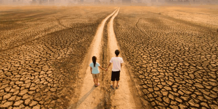 Las señales son evidentes: crisis climática, deforestación, pérdida de suelos, escasez de agua y aumento de enfermedades relacionadas con la contaminación.