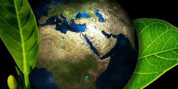 “La tierra no pertenece al hombre, es el hombre el que pertenece a la tierra”. Al hombre le fue dado el dominio, no el derecho de tiranizar, arruinar, exterminar.