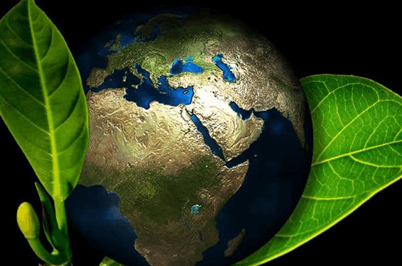 “La tierra no pertenece al hombre, es el hombre el que pertenece a la tierra”. Al hombre le fue dado el dominio, no el derecho de tiranizar, arruinar, exterminar.