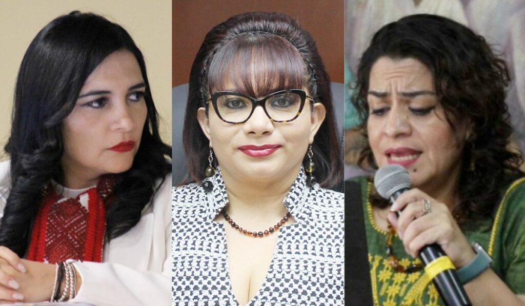 La terna finalista está compuesta por Angélica Karina Alfaro Ballinas, Martha Marina López Santiago y Sofía de Jesús Ruíz Olvera.