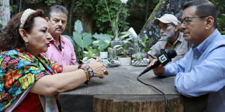 La secretaria Malena Torres Abarca y su equipo detallan avances en conservación, manejo de fauna y gestión sustentable.