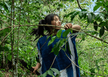 Históricamente, la participación femenina en el café ha sido profunda, pero silenciosa. Ellas sembraron la semilla, abonaron la tierra, seleccionaron la cereza, cuidaron la calidad del grano y sostuvieron los hogares mientras la producción avanzaba. 