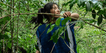 Históricamente, la participación femenina en el café ha sido profunda, pero silenciosa. Ellas sembraron la semilla, abonaron la tierra, seleccionaron la cereza, cuidaron la calidad del grano y sostuvieron los hogares mientras la producción avanzaba. 