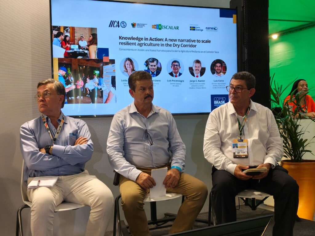 Modelo territorial destaca por restauración de microcuencas.