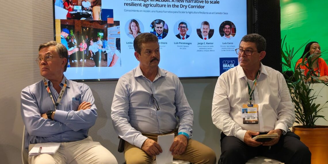 Modelo territorial destaca por restauración de microcuencas.