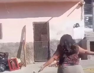 Defensoría Animal MOC pide sanciones ejemplares.