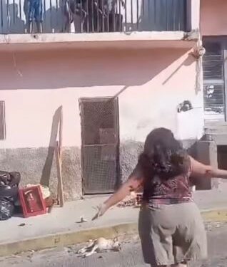 Defensoría Animal MOC pide sanciones ejemplares.