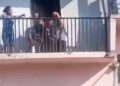 Defensoría Animal MOC pide sanciones ejemplares.