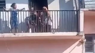 Defensoría Animal MOC pide sanciones ejemplares.