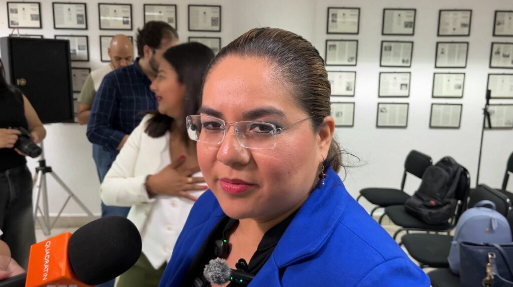 La diputada llamó a reforzar reformas y políticas de protección.