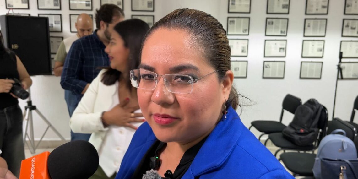 La diputada llamó a reforzar reformas y políticas de protección.