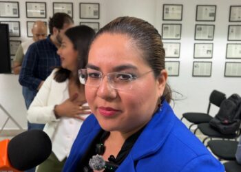 La diputada llamó a reforzar reformas y políticas de protección.